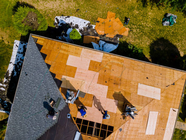 Roof Gutter Cleaning in Pevely, MO